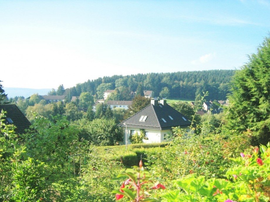 Heise Immobilien - Mietwohnung - Neuhaus im Solling Dachgeschosswohnung Holzminden