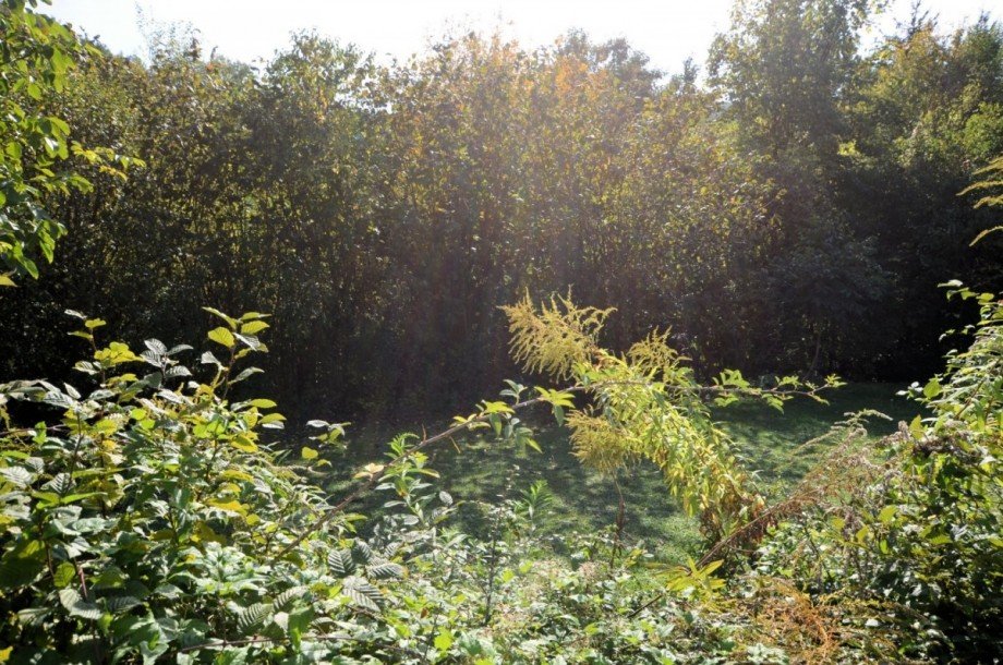 Heise Immobilien - R�hle - Bodenwerder Mehrfamilienhaus Bodenwerder