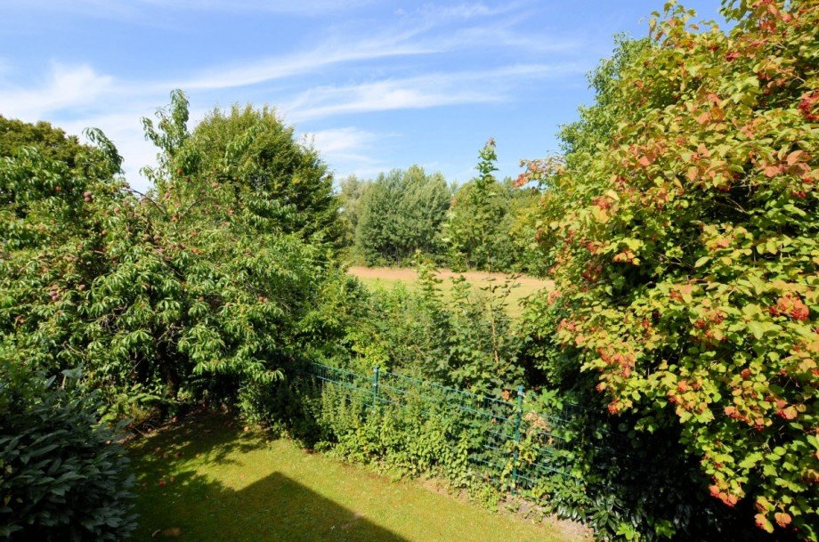 1-Familienwohnhaus mit Doppelgarage in Holzminden Einfamilienhaus Holzminden