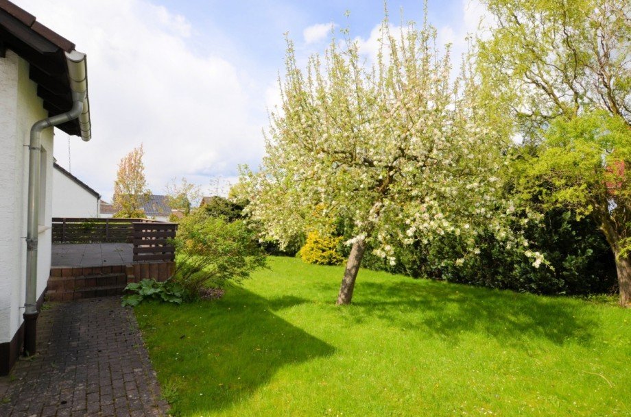 1-Familienwohnhaus mit Garage in Holzminden - Wohnhaus mit Garage Einfamilienhaus Holzminden