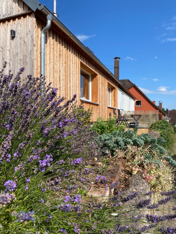 Heise Immobilien - Modernsierte Doppelhaush�lfte - �ber den D�chern Brev�rde Reihenendhaus Brev�rde