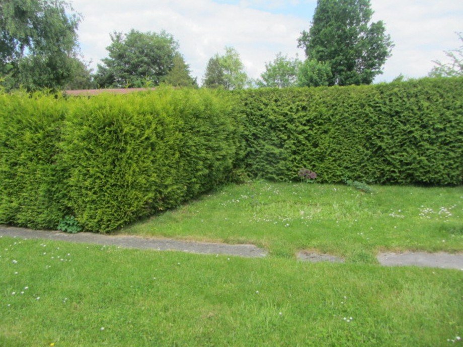 Garten Erdgeschosswohnung Holzminden