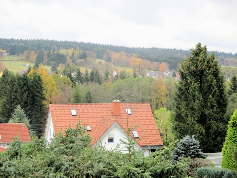 Heise Immobilien - www.immobilien-heise.de Erdgeschosswohnung Holzminden